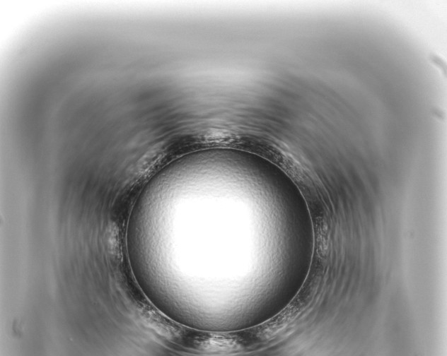 X0000093770270200710301211