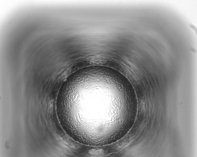 X0000093770271200710301211