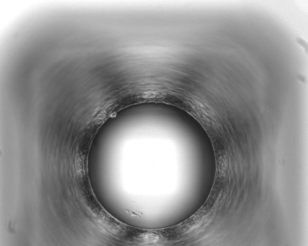 X0000093770272200710301211