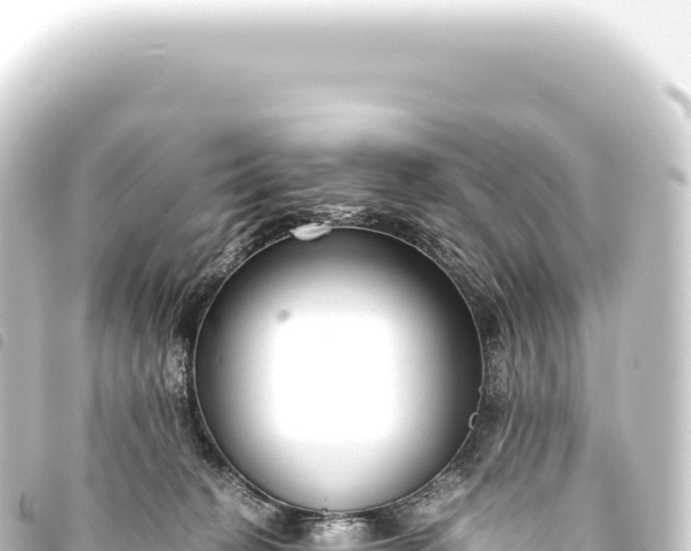 X0000093770274200710301211