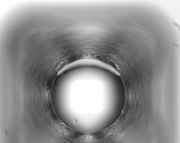 X0000093770276200710301211