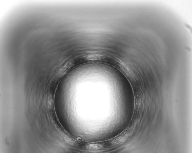 X0000093770277200710301211