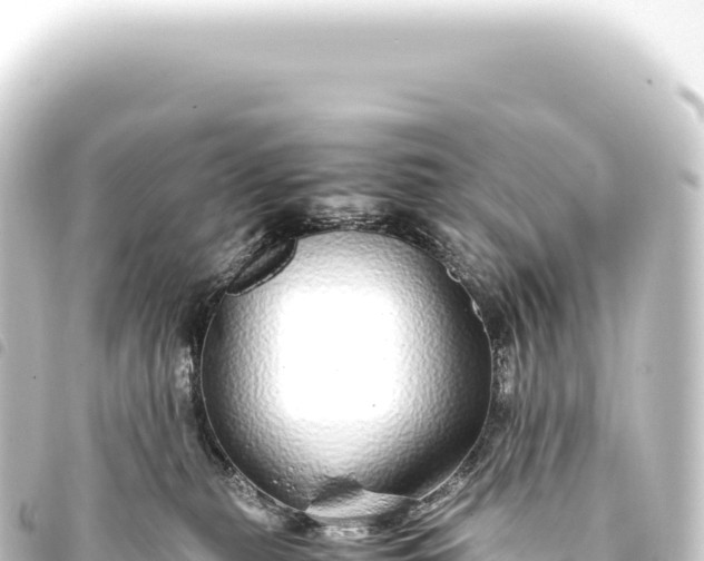 X0000093770279200710301211