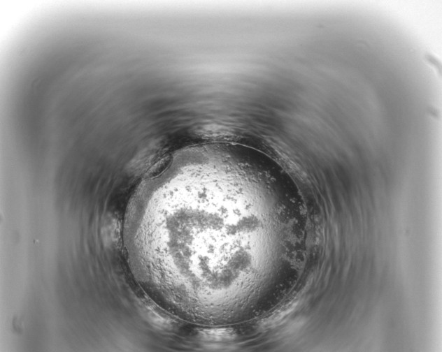 X0000093770281200710301211