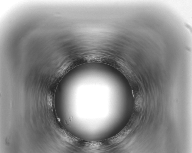 X0000093770282200710301211