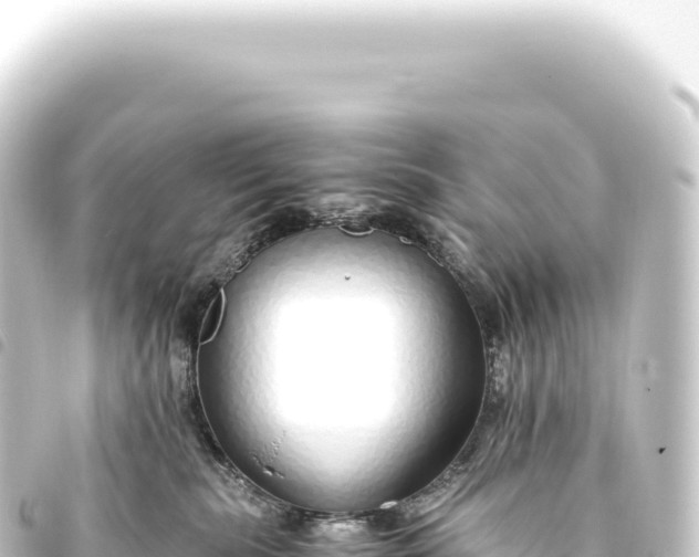 X0000093770283200710301211