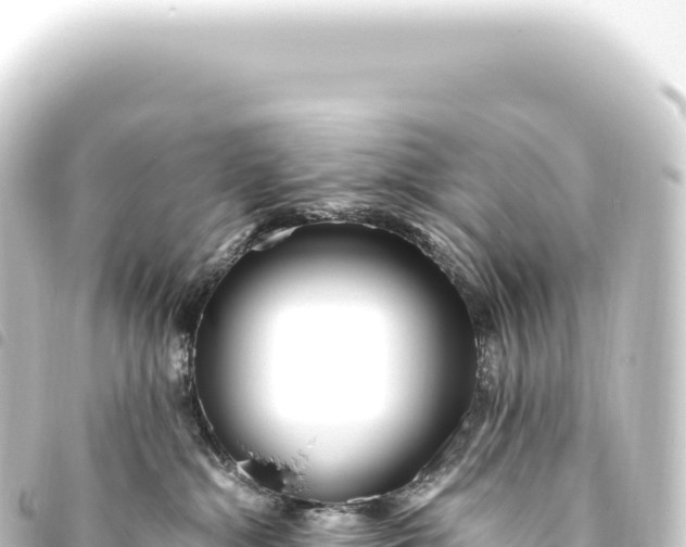 X0000093770284200710301211