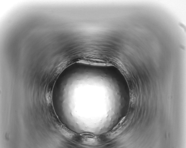 X0000093770285200710301212