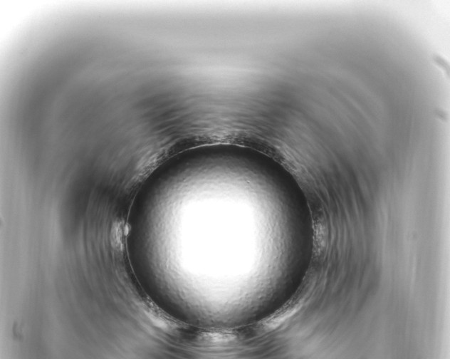 X0000093770286200710301212