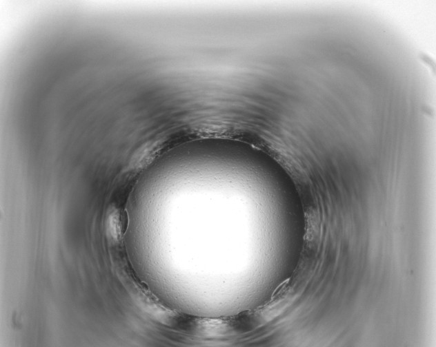 X0000093770287200710301212