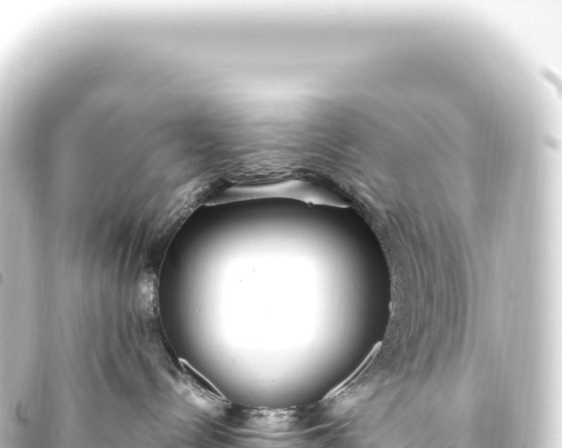 X0000093770288200710301212