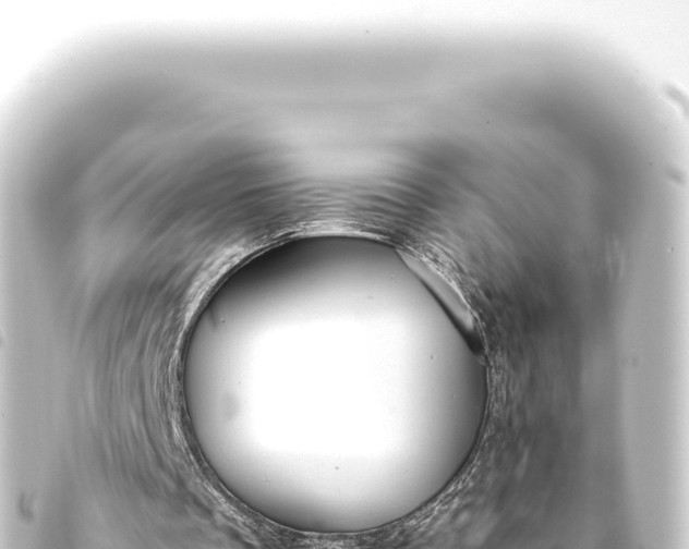 X0000093770289200710301211