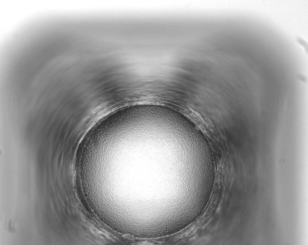 X0000093770290200710301211