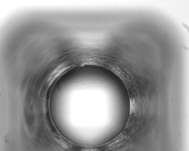 X0000093770291200710301211