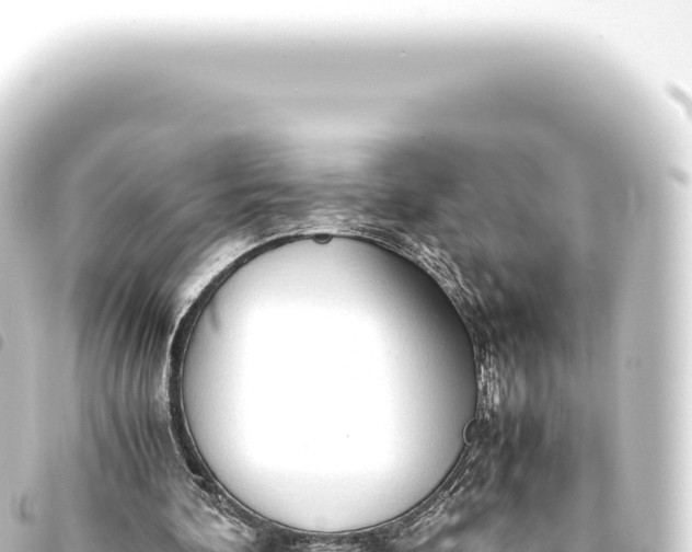 X0000093770292200710301211