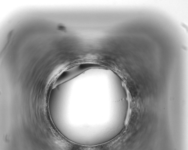 X0000093770293200710301211