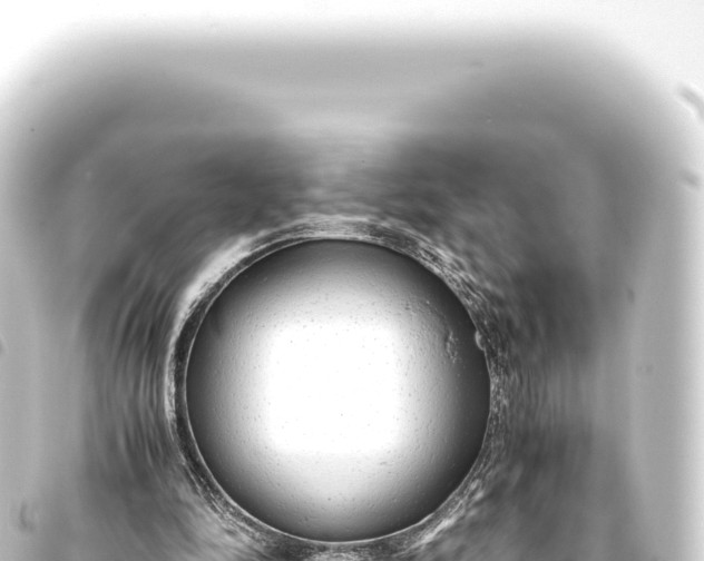 X0000093770294200710301211