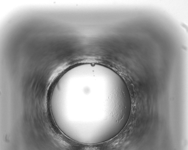 X0000093770296200710301211