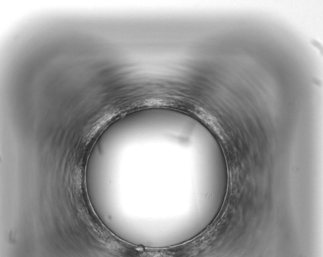 X0000093770297200710301211