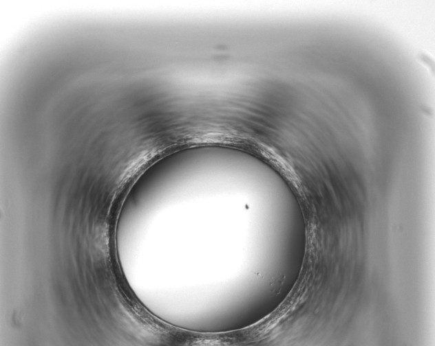 X0000093770298200710301211