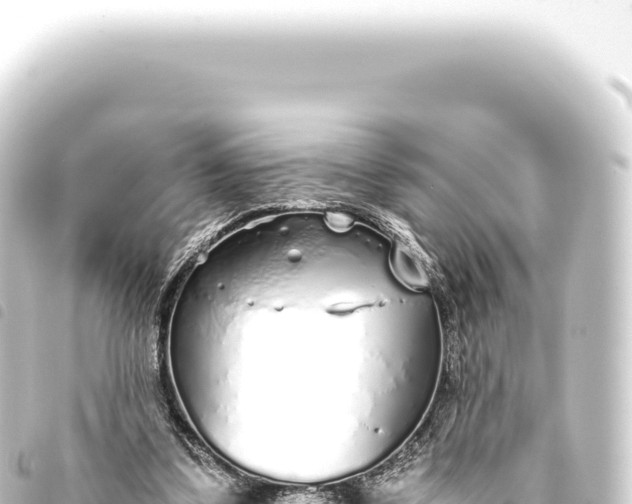 X0000093770299200710301211