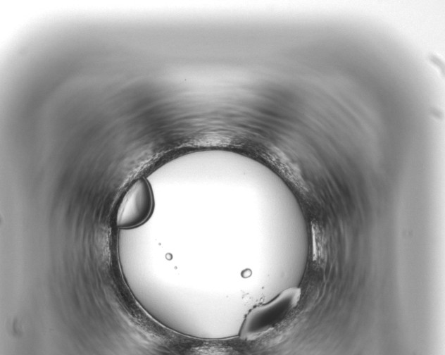 X0000093770300200710301211