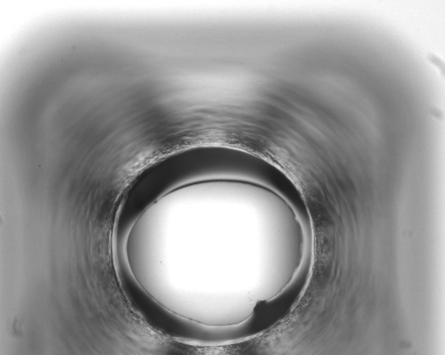 X0000093770301200710301211