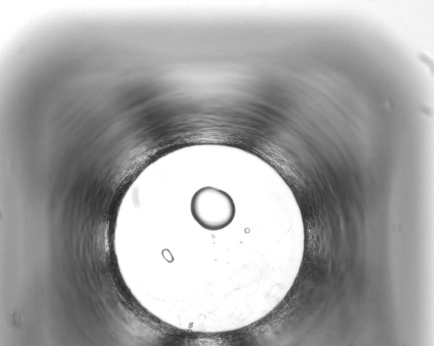 X0000093770302200710301211