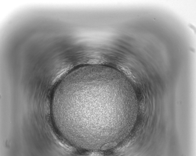 X0000093770303200710301211