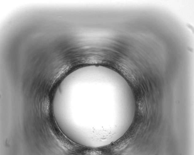 X0000093770304200710301211