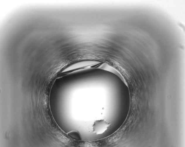 X0000093770305200710301211