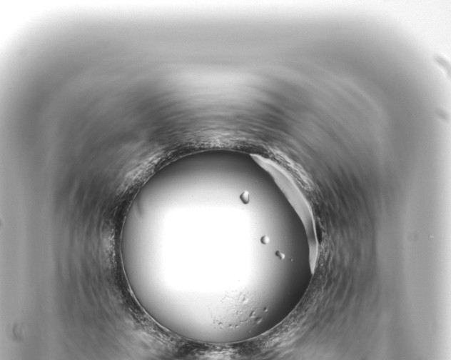 X0000093770306200710301211