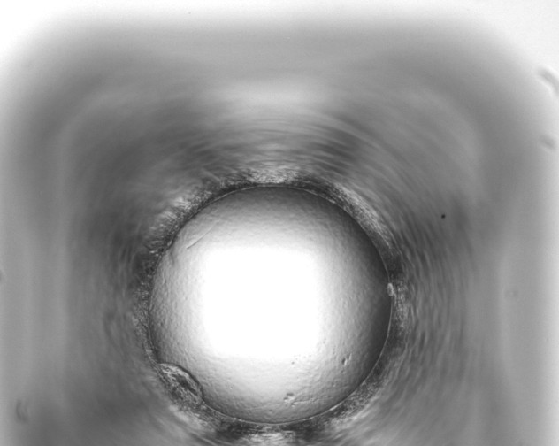 X0000093770307200710301211