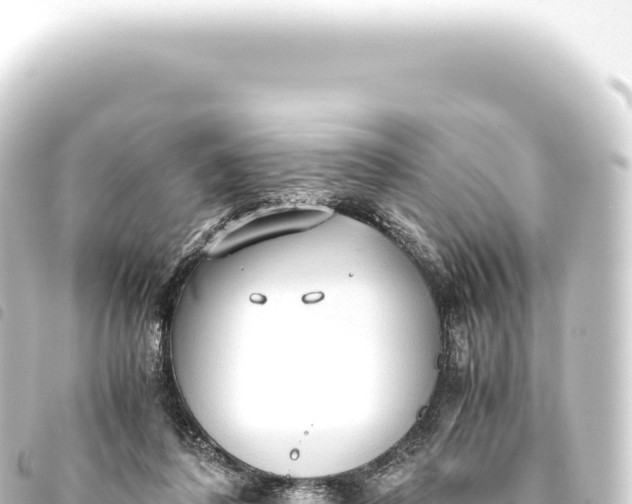 X0000093770308200710301211