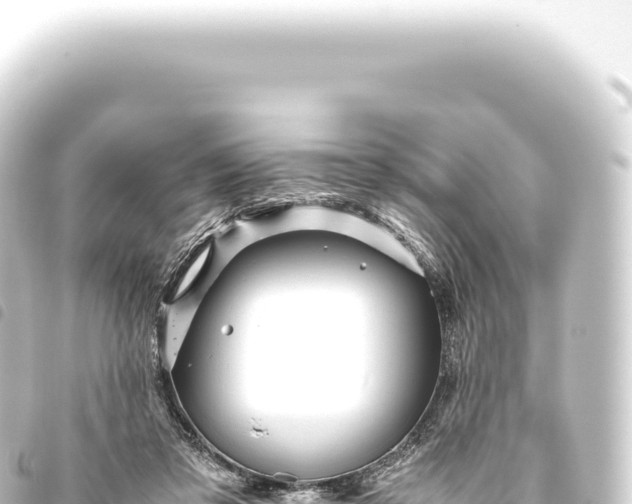 X0000093770309200710301211