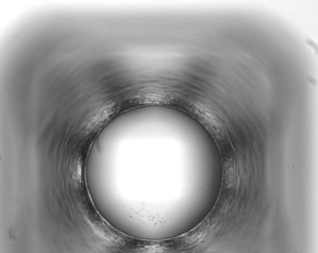 X0000093770310200710301211