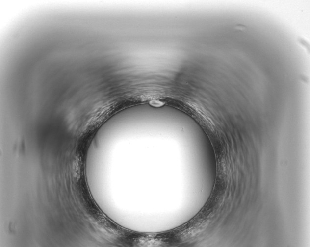 X0000093770311200710301211