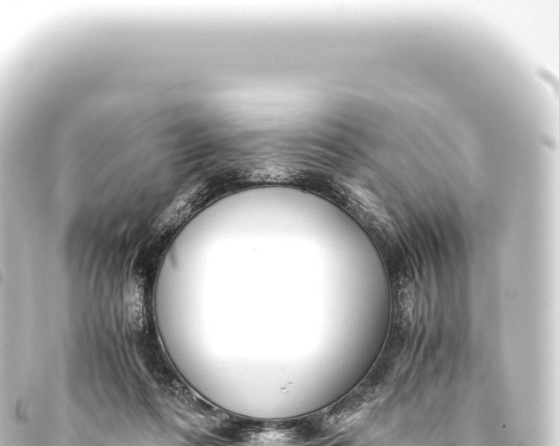 X0000093770312200710301211