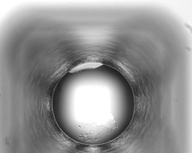 X0000093770313200710301211