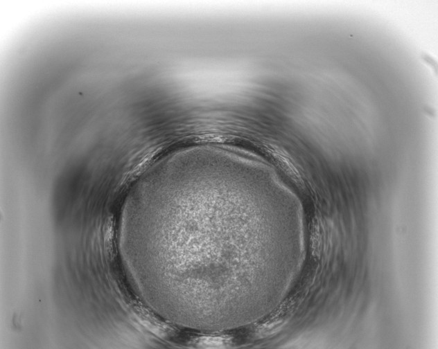 X0000093770314200710301211