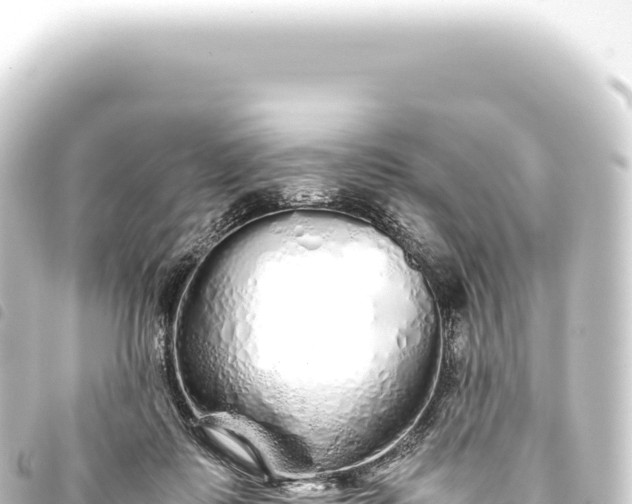 X0000093770315200710301211