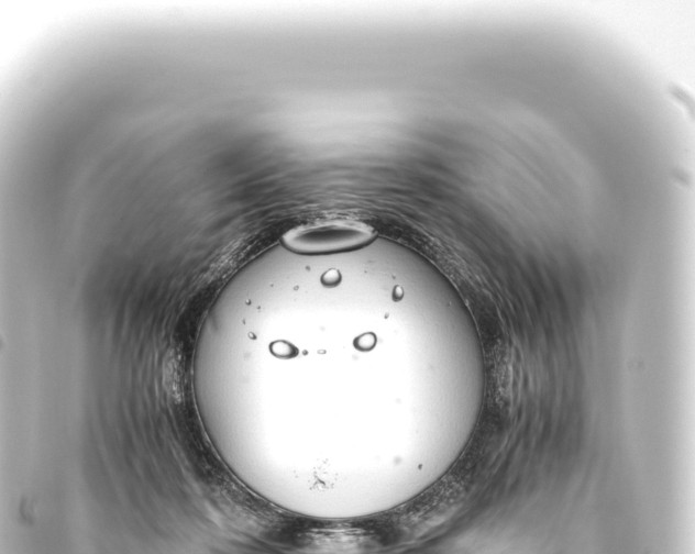 X0000093770316200710301211