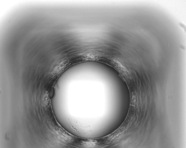 X0000093770318200710301211