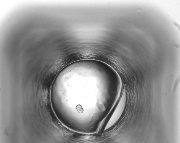 X0000093770319200710301211