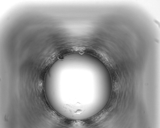 X0000093770321200710301211