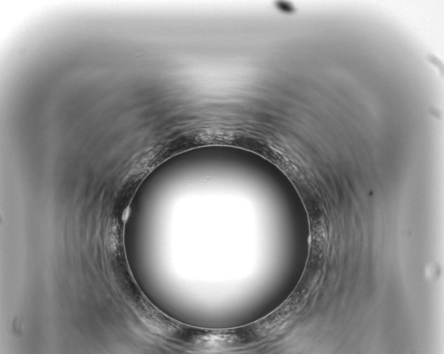 X0000093770323200710301211