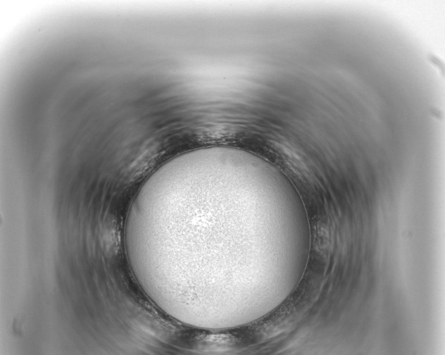 X0000093770324200710301211