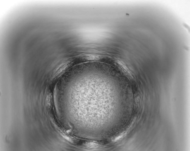 X0000093770325200710301211