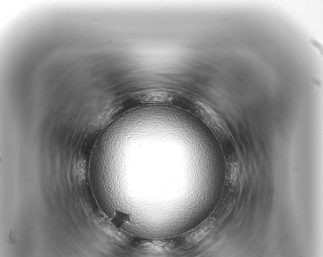 X0000093770326200710301211