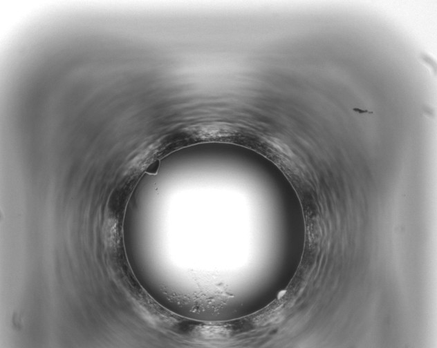 X0000093770327200710301211